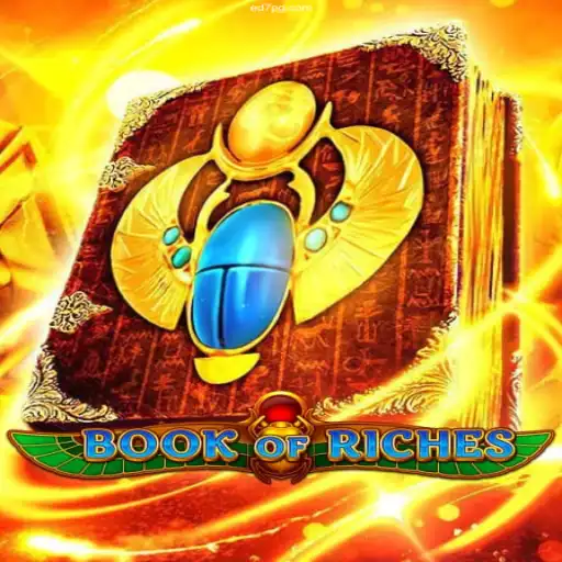 Exploring the Thrills of BookofRiches